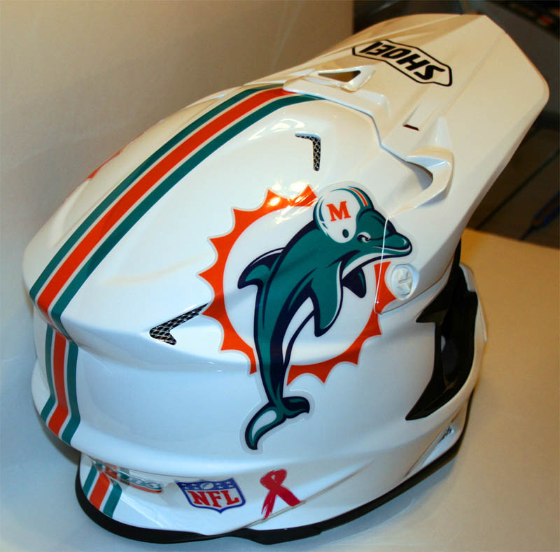 DOLFINS-2
